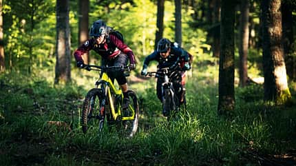 Bosch Performance Line CX Bosch Performance Line CX