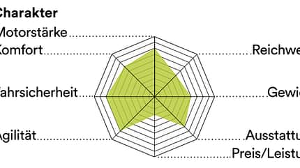 EB Test 2 Bewertung Riese und Müller EB Test 2 Bewertung Riese und Müller