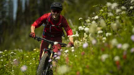 2019,Revelstoke,British Columbia,Giant Reign 29