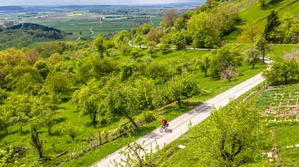 RB 2019 E-Rennrad Centurion Overdrive Selbstversuch