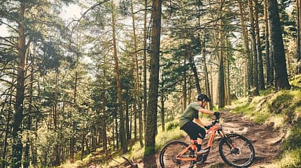 Orbea Wild FS Orbea Wild FS
