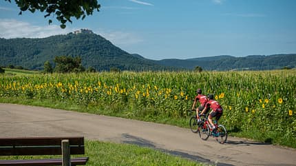 RB1019 E-Rennrad vs. Bio-Bike RB1019 E-Rennrad vs. Bio-Bike