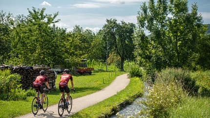 RB1019 E-Rennrad vs. Bio-Bike RB1019 E-Rennrad vs. Bio-Bike