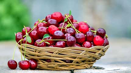 Ernährung Ernährung