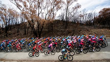 22nd Santos Tour Down Under 2020 - Stage 2 22nd Santos Tour Down Under 2020 - Stage 2