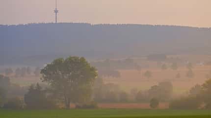 field,landscape,nebel,deister,mist Trees On Field Against Sky During Sunset
