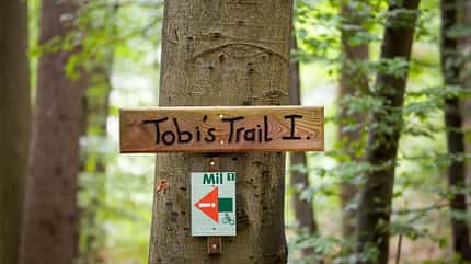 Europa,Deutschland,Odenwald,Natur,Panorama,Landschaft,Biker,Fahrrad,Mountainbike,Bike,Zweirad,Mountainbiker,Radfahrer,biken,fahren,radfahren,sportlich,Sport,Outdoor,Reisen,Aktivit,t,Freizeit,Freizeitsport,Trail