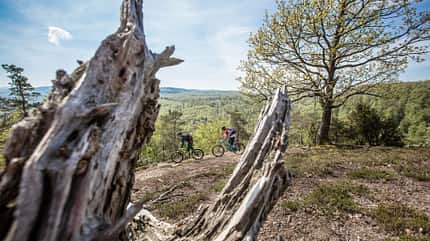 Enduro,Mountainbike,Tour,eisenach,wartburg