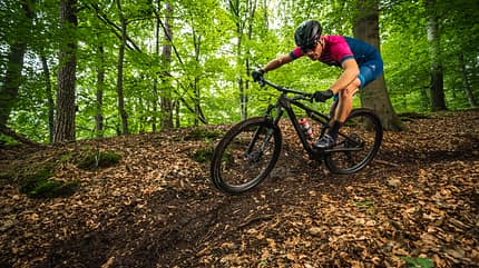 Specialized 2020 Specialized 2020