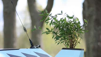 Zeltini Z-Triton
