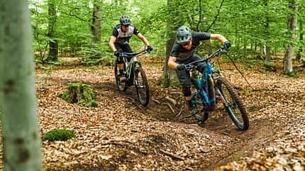 Versender E-Bikes 2020 Versender E-Bikes 2020