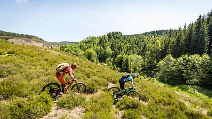 MOUNTAINBIKE-Touren im Harz MOUNTAINBIKE-Touren im Harz