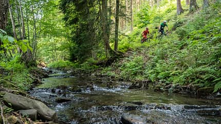 MOUNTAINBIKE-Touren im Harz MOUNTAINBIKE-Touren im Harz