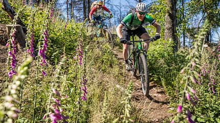 MOUNTAINBIKE-Touren im Harz MOUNTAINBIKE-Touren im Harz