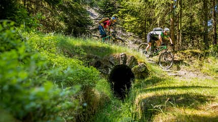 MOUNTAINBIKE-Touren im Harz MOUNTAINBIKE-Touren im Harz