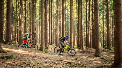 MTB-Touren im Erzgebirge MTB-Touren im Erzgebirge