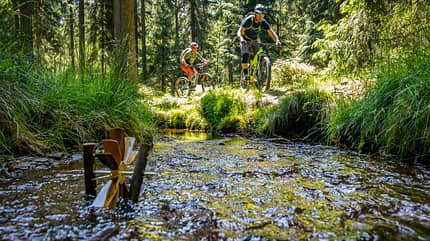MTB-Touren im Erzgebirge MTB-Touren im Erzgebirge
