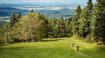 MTB-Touren im Thüringer Wald