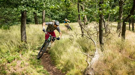 MTB-Touren im Thüringer Wald