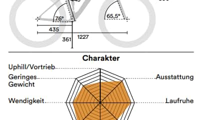 YT-Capra-Pro-Race-29-Geo YT-Capra-Pro-Race-29-Geo