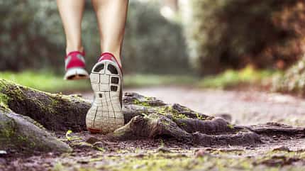 laufen,joggen,jogger,stolpern,umknicken,wurzel,gelände,trip,step,untergrund,waldweg,wald,trail,trailrunning,schuhe,läufer,gefährlich,verletzen,verletzungsgefahr,alleine