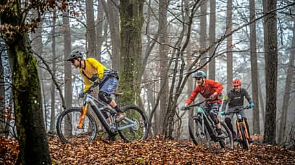 14 E-MTBs im Test, 04/2021 14 E-MTBs im Test, 04/2021