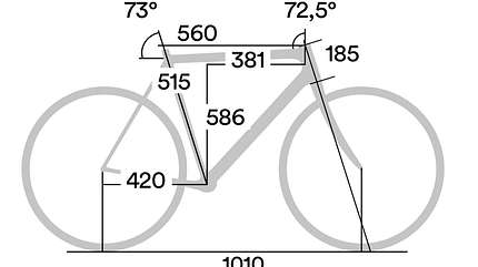 ROADBIKE Marathon-Rennräder Tets 2021