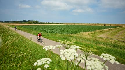 Rennrad Touren Zeeland Holland Niederlande Rennrad Touren Zeeland Holland Niederlande