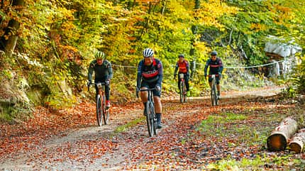 Tortour Gravel Tortour Gravel