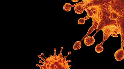 SARS-CoV-2 Coronavirus Variant Omicron B.1.1.529