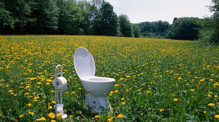 Toilette und Toilettenpapierhalter in einem Feld mit Löwenzahn Toilette und Toilettenpapierhalter in einem Feld mit Löwenzahn