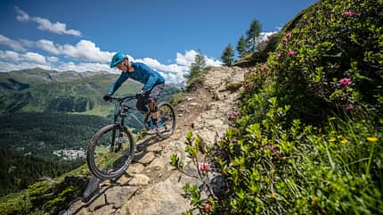 davos Mondraker Foxy Carbon RR 29