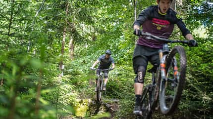 almountain,belgien,enduro,remouchamps,spa,trail,trails Trailguide Ardennen