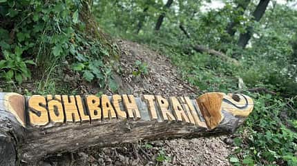 Schild, Söhlbach, Trail, Baumstumpf, Schnitzerei Trailschild das in einen Baumstumpf geschnitzt ist.