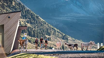 Rennrad,Ötztal,Roadbike,Reise,Tour Rennrad,Ötztal,Roadbike,Reise,Tour