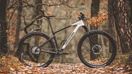 Die zehn besten Race-Hardtails Die zehn besten Race-Hardtails