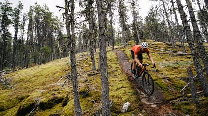Gravelbike,Stigmata,Santa Cruz, Draußen,Trail Gravelbike,Stigmata,Santa Cruz, Draußen,Trail