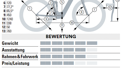 Light-E-MTBs Light-E-MTBs