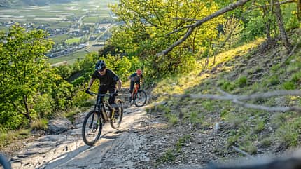 Light-E-MTBs Light-E-MTBs