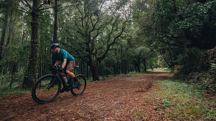 Specialized Creo 2,E-Gravelbike,Actionfoto,Wald,Highspeed