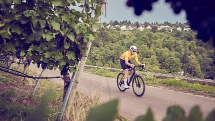 Canyon, Endurace CFR,Rennrad