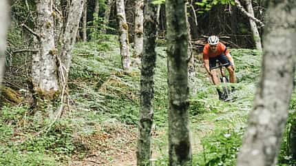 Stigmata CC,Gravelbike Stigmata CC,Gravelbike