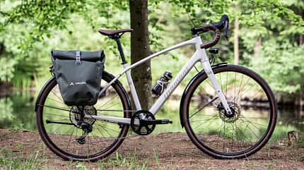 Diamant Rad,Gravelbike Nhoma Gen 2,weis,Seitenansicht vor Baum Diamant Rad,Gravelbike Nhoma Gen 2,weis,Seitenansicht vor Baum