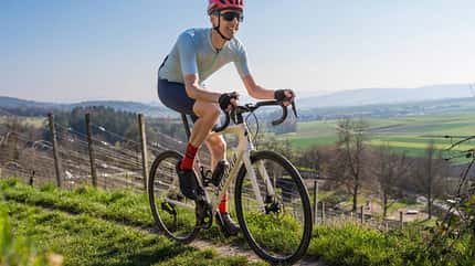 Specialized Roubaix SL8,Roadbike,Björn Hänssler,Moritz Pfeiffer Specialized Roubaix SL8 Expert