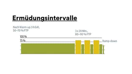 Ermüdungsintervalle Ermüdungsintervalle