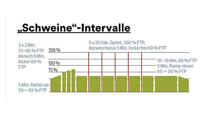 Schweineintervalle Schweineintervalle