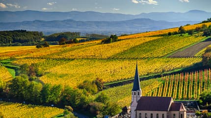 Fahrradfahren im Elsass Fahrradfahren im Elsass