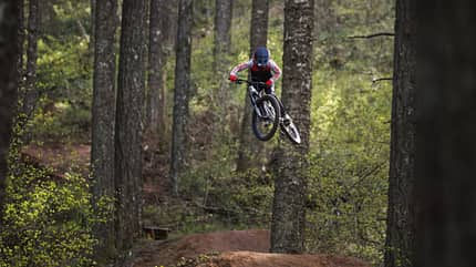 Giant, Faith, Kids Mountainbike, Action, Sprung