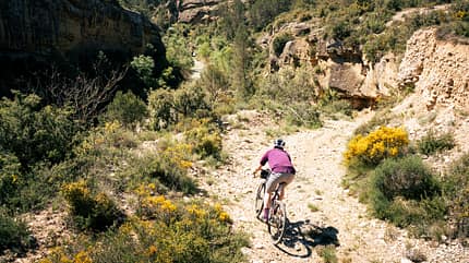 Border Bash Aragon: Downhill Border Bash Aragon: Downhill