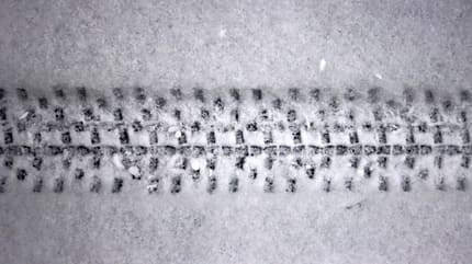contrast,ride,closeup,texture,lines,mark,snowprint,detail,surface,tire,impression,trail,white,grunge,cold,trace,vehicle,minimal,snowflake,path,grey,track,bike,background,black,divided,tread Detailed bicycle tire tread mark on fresh snow. Bike track pattern, texture left in a winter environment. Monochrome tire print on snow, providing a contrast of black against white. Copy space